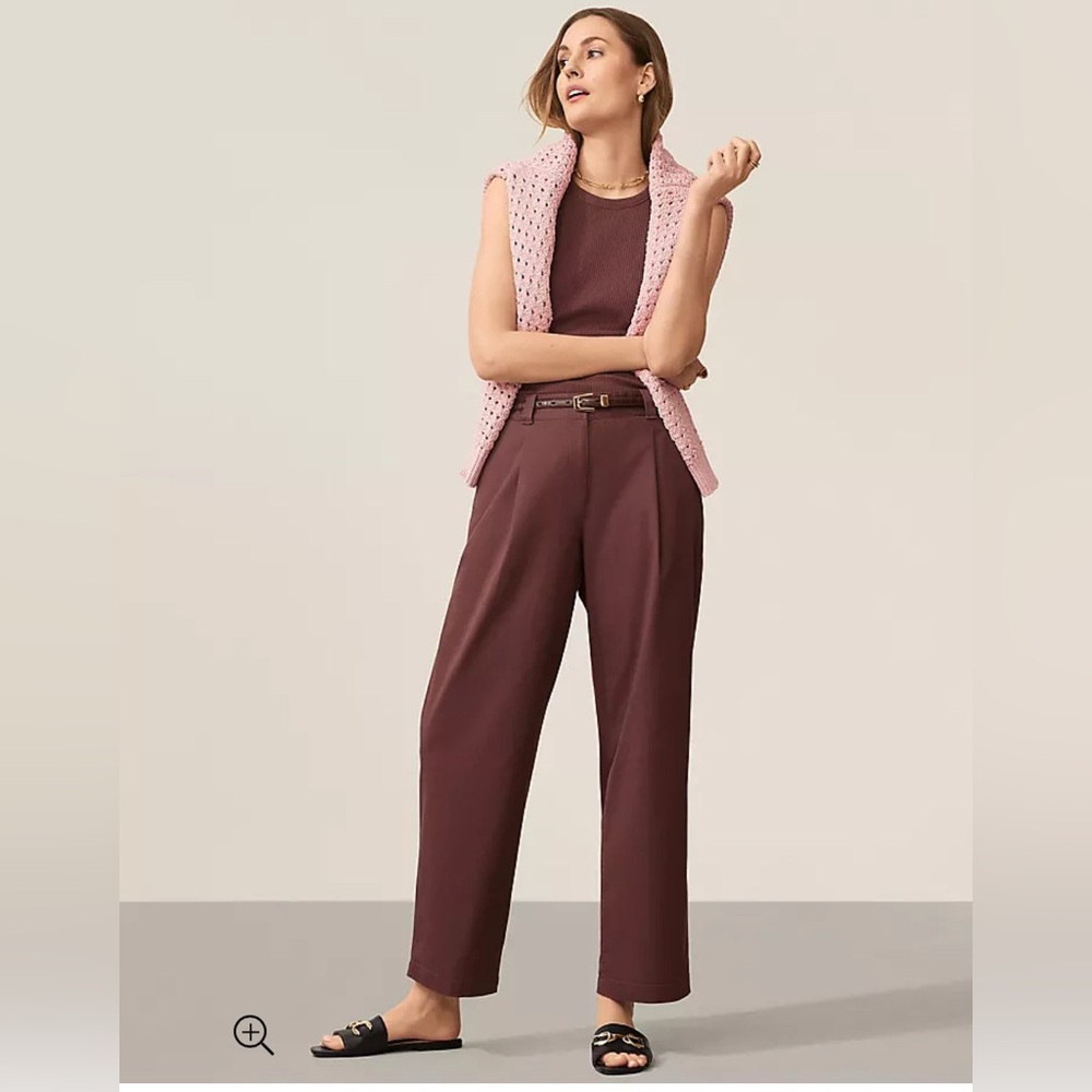 NWT Ann Taylor Petite Pleated Chino Pants, 12P - Brown, Cotton